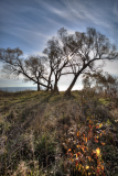 PhotosNature23