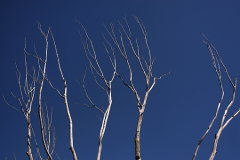PhotosNature24