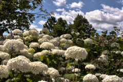 PhotosNature30