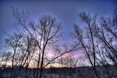 PhotosNature31