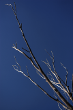 PhotosNature32