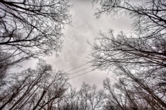 PhotosNature38