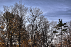 PhotosNature7