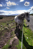 PhotosTravel15